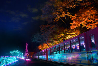 イルミネーション