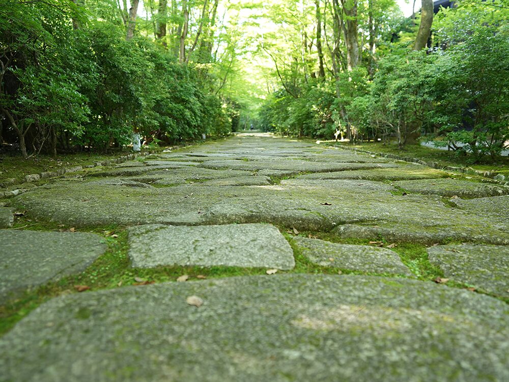 ザ・リビング パビリオン by アマン-3