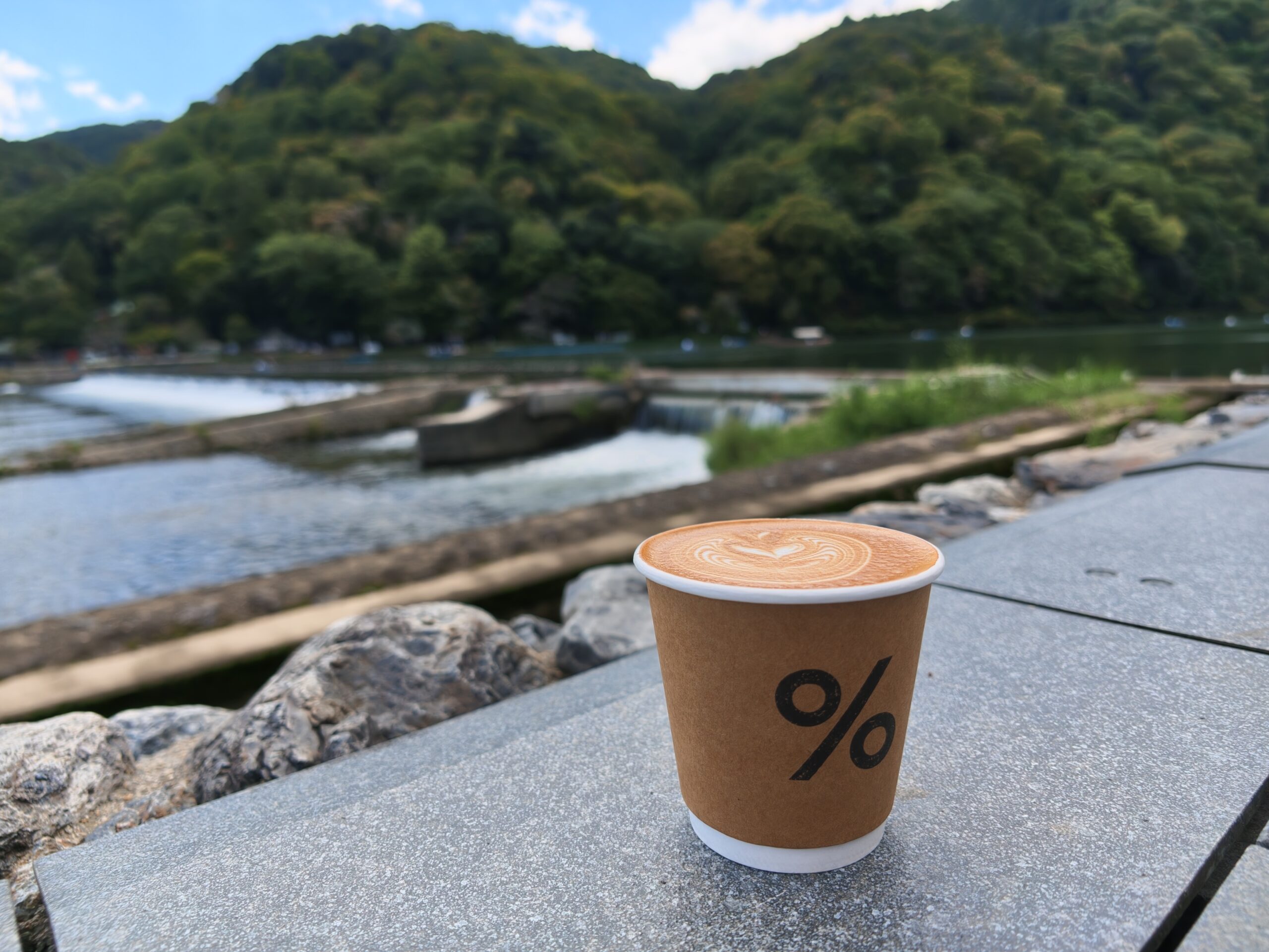 arabica