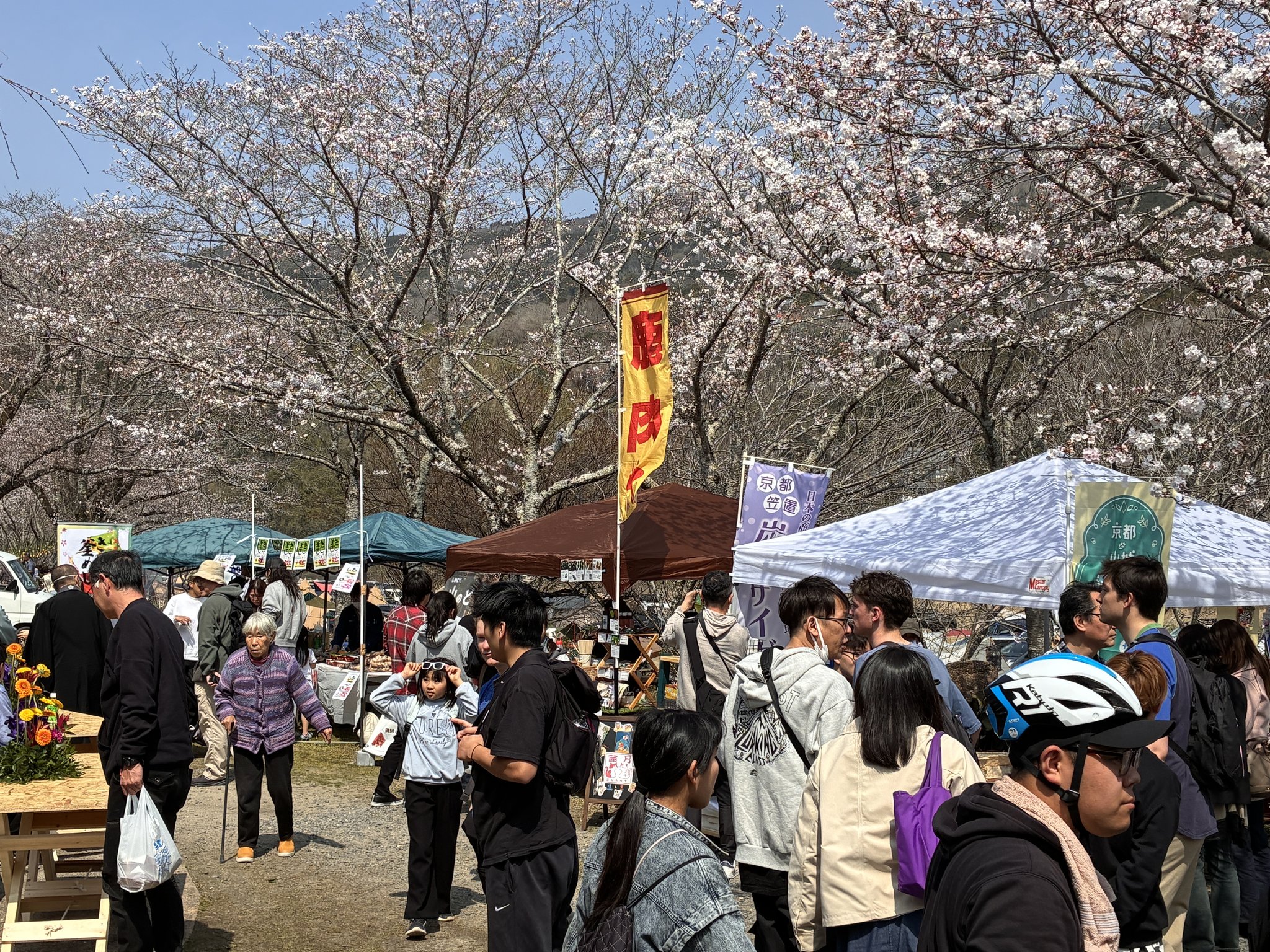 笠置町