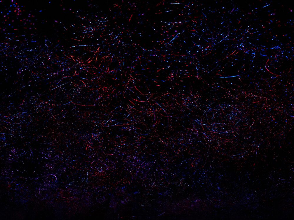 チームラボ バイオヴォルテックス 京都 積層する痕跡