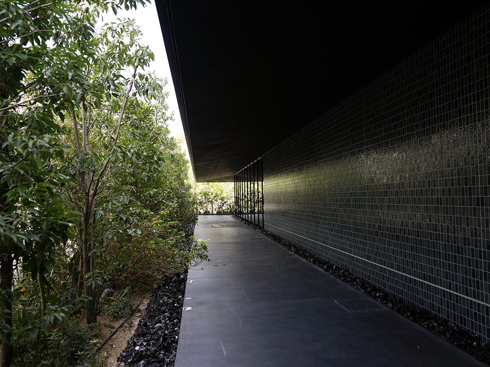 チームラボ バイオヴォルテックス 京都2