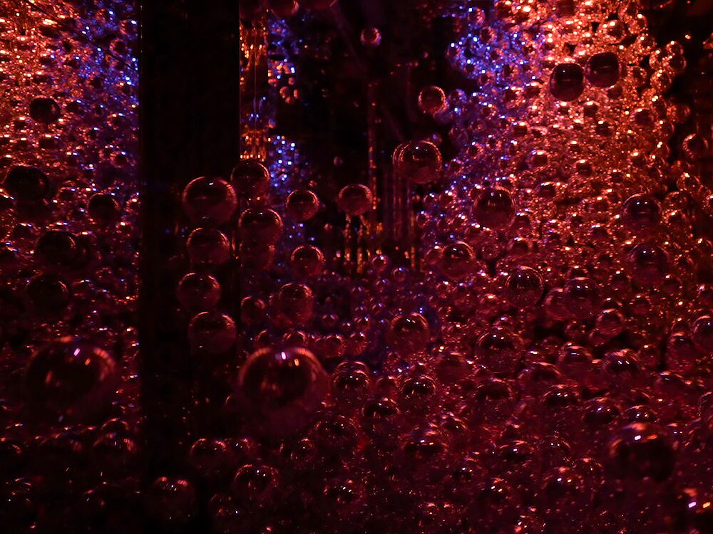 チームラボ バイオヴォルテックス 京都 変容する連続体