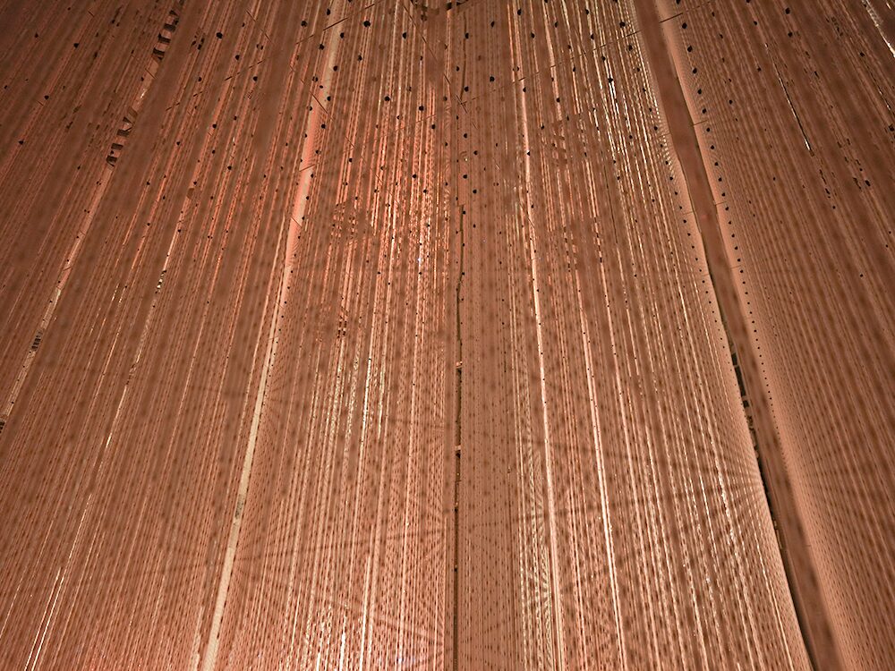 チームラボ バイオヴォルテックス Infinite Crystal World