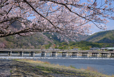 嵐山・渡月橋の桜1