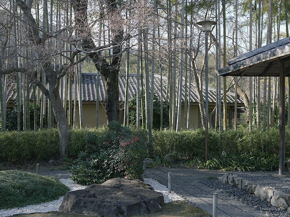 湯豆腐嵯峨野_2