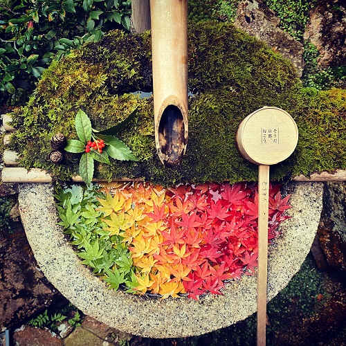 【柳谷観音楊谷寺】もみじ手水