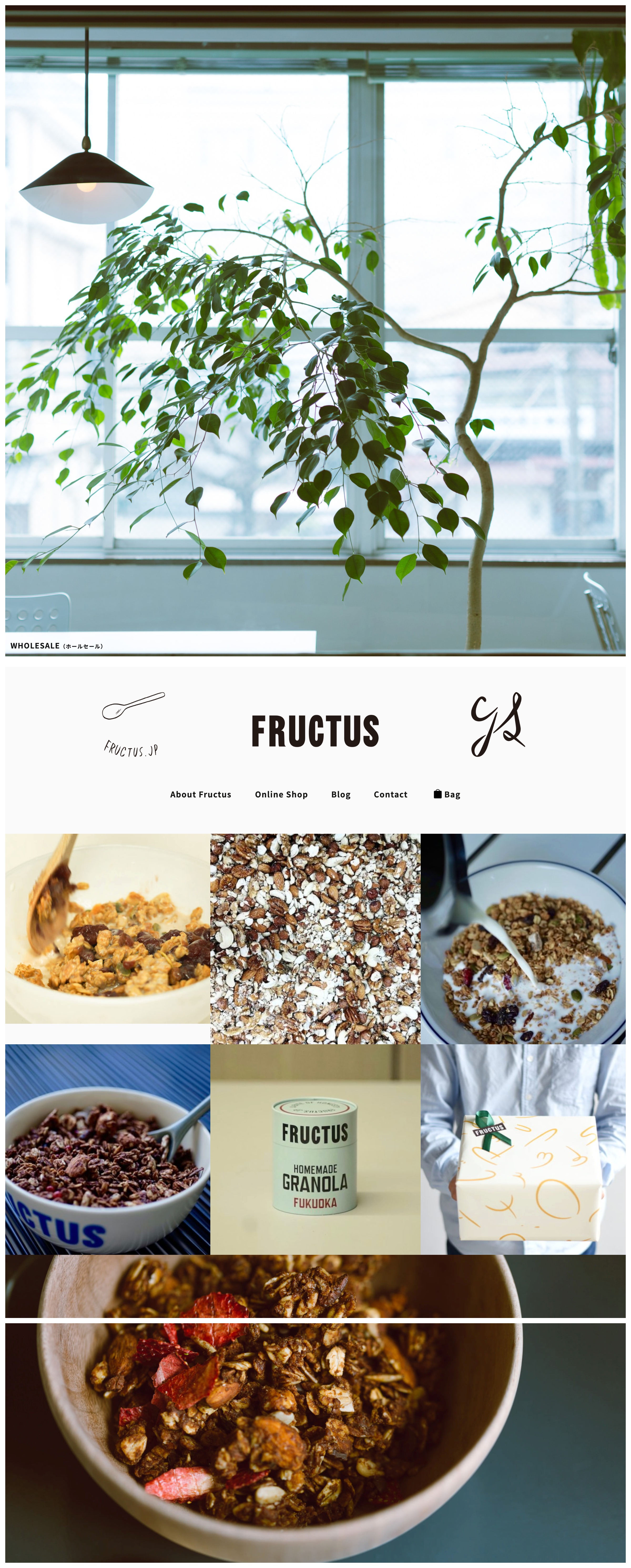 食品・飲料 ホームページ制作 WEBデザイン参考ギャラリー About Fructus | Fructus